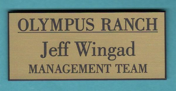 Engraved magnetic name tag with logo & text