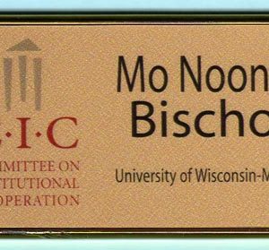 Committee on Institutional Cooperation - CIC (1.5x3 Name Tags)-0