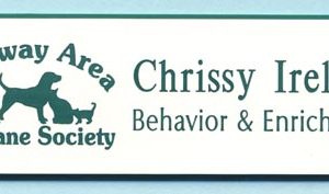 Conway Area Humane Society - WHITE / pine green-0