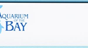 Aquarium of the Bay Foundation -0