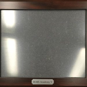 Wishard - IEMS Academy Graduation Frame-0
