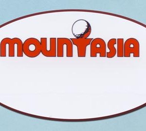 Full color logo only custom shaped tag