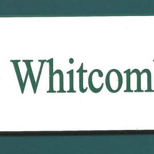Dartmouth University Swimming locker plates-0
