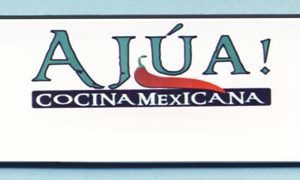 Full color logo only name tag