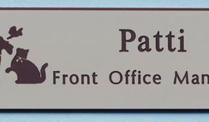 Uptown Animal Hospital-0
