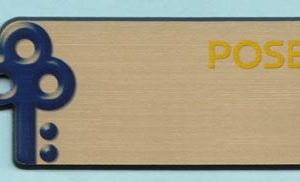 DistriNet Marketing - POSB logo-only-0