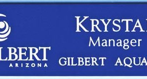Town of Gilbert - Community Services-0