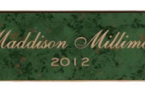 green marble young women recognition perpetual plaque insert with gold text and double-sided mounting tape on back