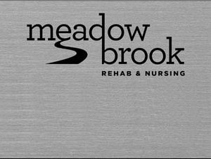 Meadow Brook Rehab - silver logo-only-0