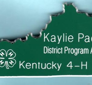 University of Kentucky - Cooperative Extension 4H (green)-0