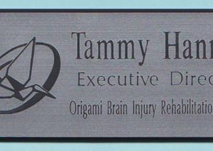 Origami Brain Injury Rehabilitation Center-0
