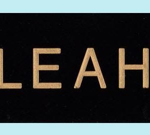 Deluxe (formerly FMC Merrill) - Idaho Independent Bank name plates 1.5 x 9 - WITH MAGNETIC STRIPS-0