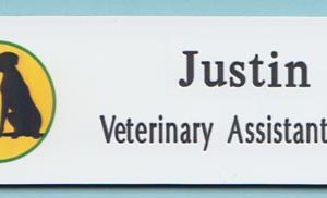 New Paltz Animal Hospital (Vetcor)-0