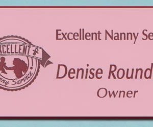 Excellent Nanny Service-0