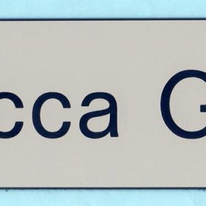 Esurance Name Plates - Ogden-0