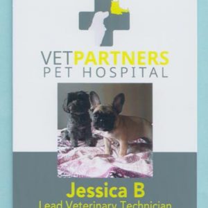 Vet Partners-0