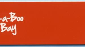 Bugaboo Bay logo-only (orange)-0