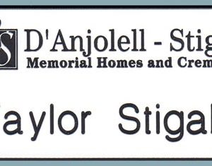 D'Anjolell - Stigale Memorial Homes pin or mag-0
