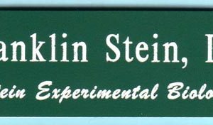 Stein Experimental Biology-0
