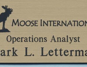 Moose International-0