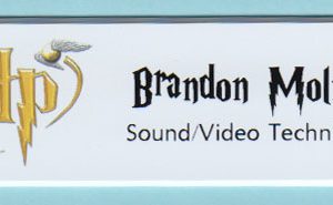Brandon Molnar-0