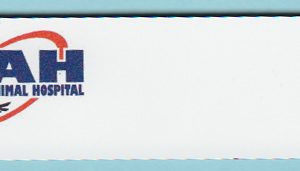 Rascal Animal Hospital-0