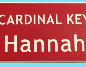 Cardinal Key-0
