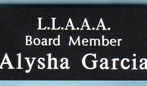 Lake Los Angeles Athletic Assoc. (L.L.A.A.A)-0