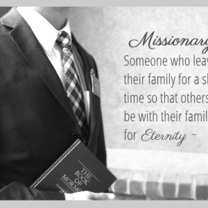 Missionary Exchanges - Elder Magnet-0