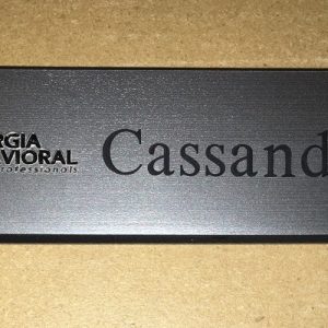 Georgia Behavioral Health - Silver Engraved with Leaf Logo-0
