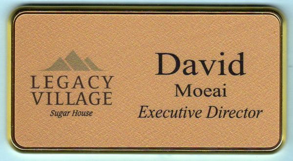 Legacy Village of Sugar House - Gold non-framed-0