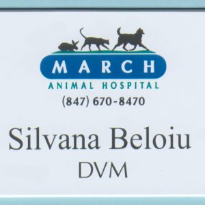 March Animal Hospital-0