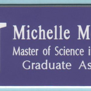 Northwestern U Master of Science in Education-0