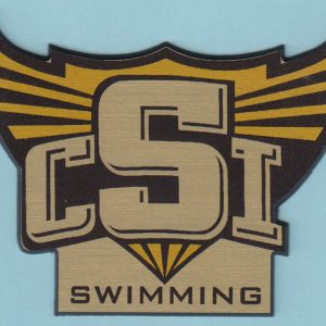 CSI Swimming-0