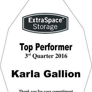 Extra Space Storage - Quarterly Top Performer Diamond Crystal Award-0