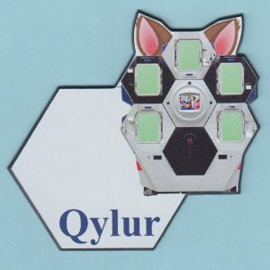 Qylur Intelligent Systems-0