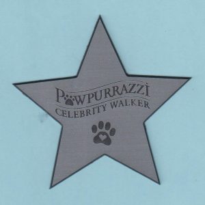 Humane Society of Greater Miami - Pawpurrazzi-0