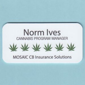 The Branding Iron - MOSAIC CB Insurance Solutions-0