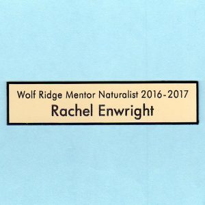 Wolf Ridge Environmental Learning Center (ELC)-0