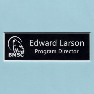Blue Mountain Summer Camp (BMSC) - Name & Title-0
