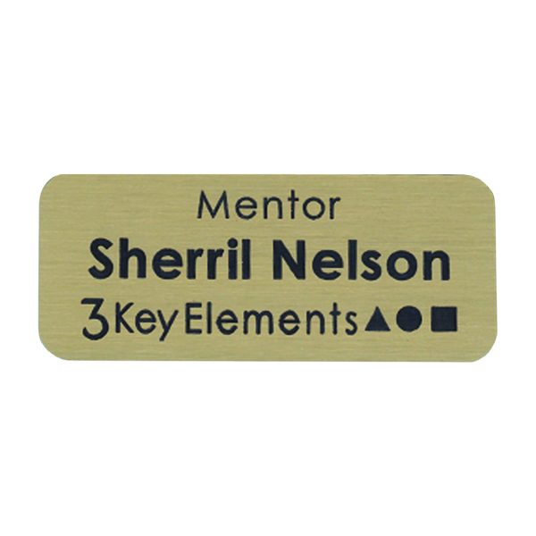 3 Key Elements - Mentor-0