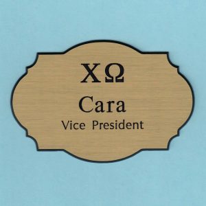 Chi Omega DePaul-0