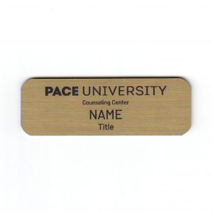 Pace University - Co Op & Career Services new 2021-0