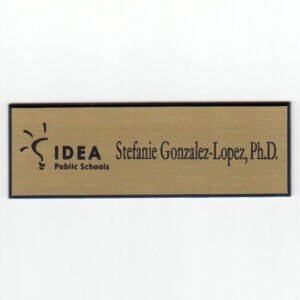 Metal IDEA Public School
