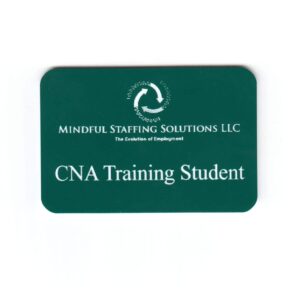 Mindful Staffing Solutions LLC