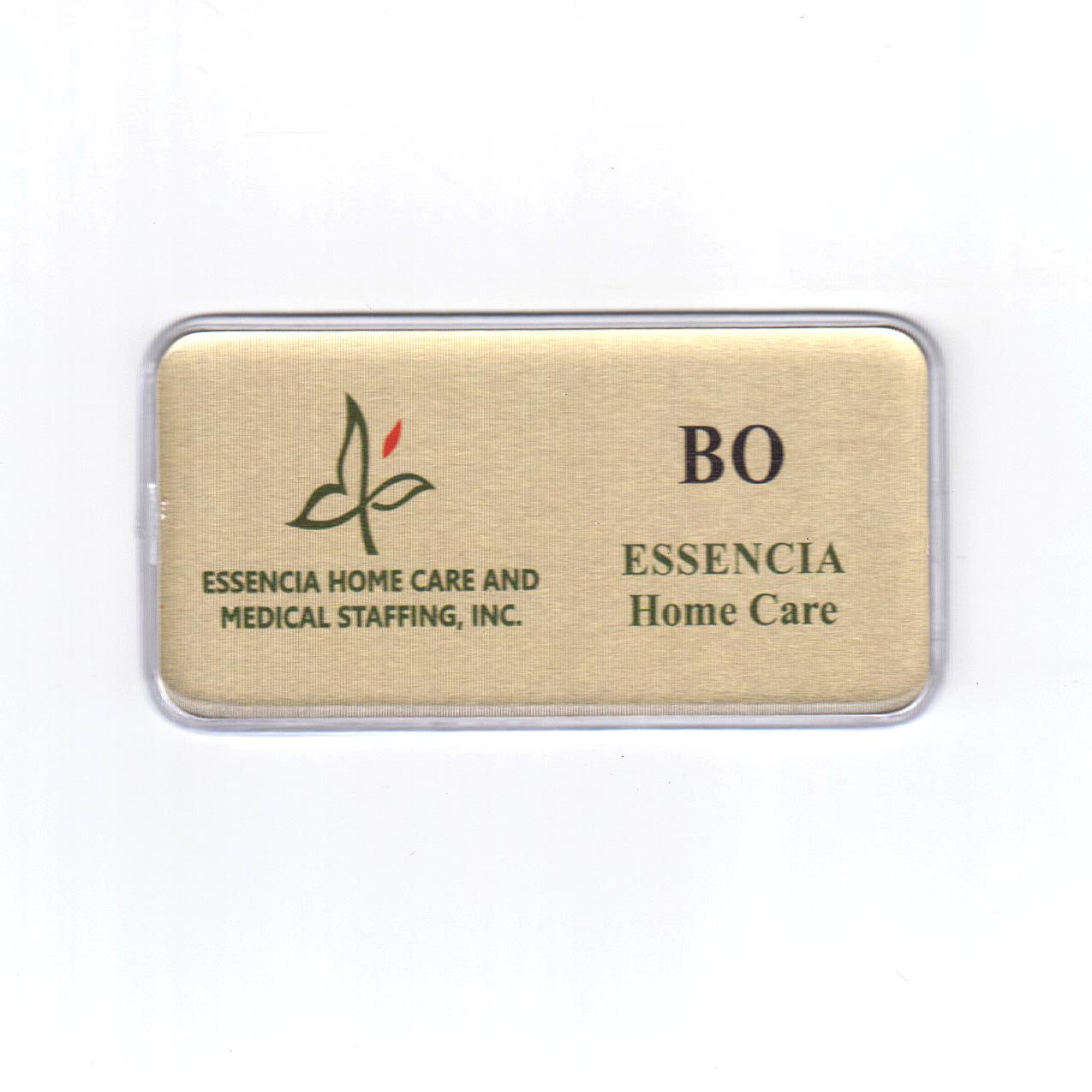 ESSENCIA HOME CARE AND MEDICAL STAFFING INC