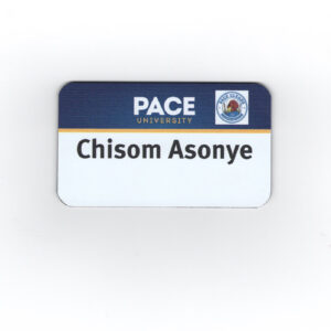 Pace University- Pace Cleans